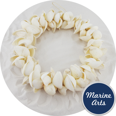 8506 - White Cockle - Shell  Wreath